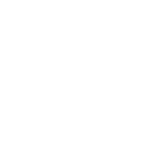 Spoon